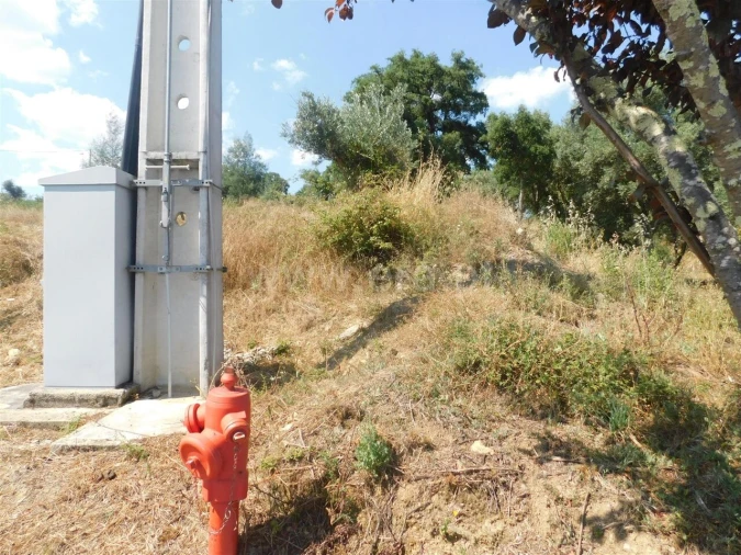 Terreno para Venda em Peso e Vales do Rio Foto 13