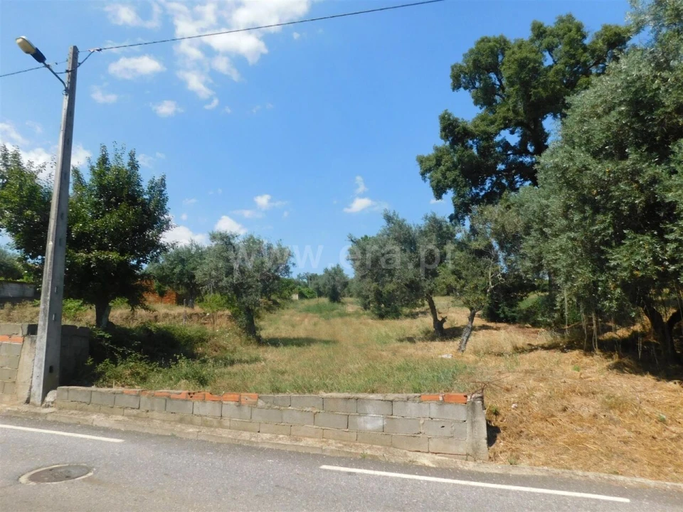 Terreno para Venda em Peso e Vales do Rio Foto 7
