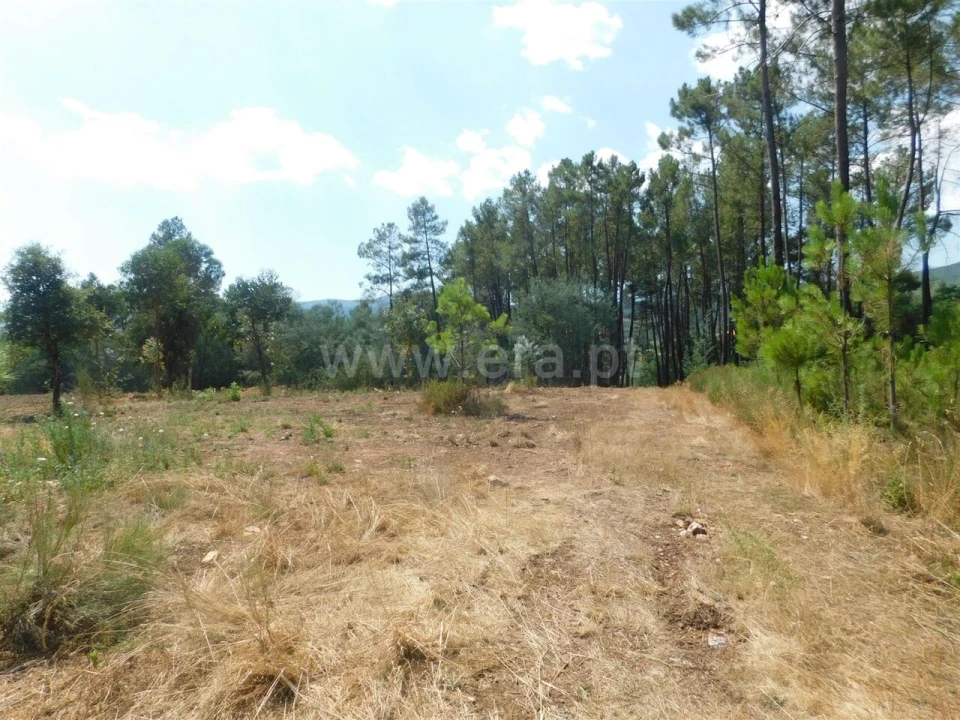Terreno para Venda em Peso e Vales do Rio Foto 10
