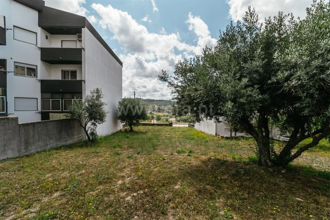 Terreno para Venda em Teixoso e Sarzedo Foto 8