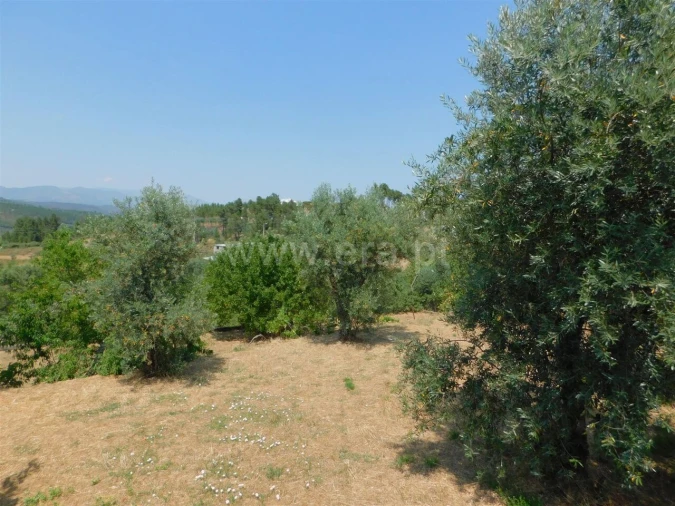 Terreno para Venda em Casegas e Ourondo