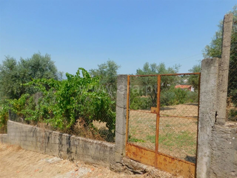 Terreno para Venda em Casegas e Ourondo Foto 2