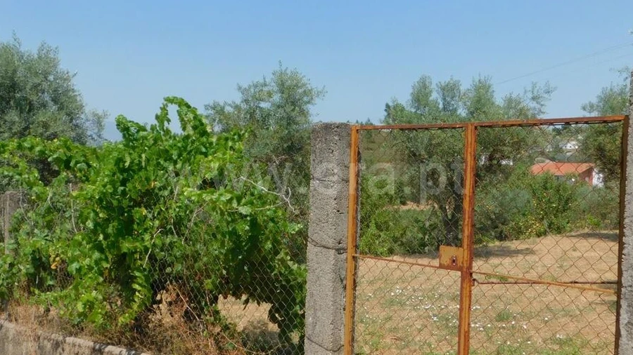 Terreno para Venda em Casegas e Ourondo