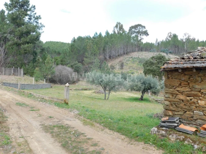 Quinta T0 para Venda em Barco e Coutada Foto 5