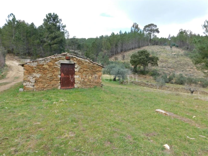 Quinta T0 para Venda em Barco e Coutada