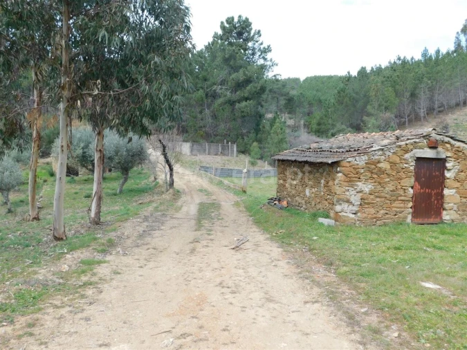 Quinta T0 para Venda em Barco e Coutada Foto 3