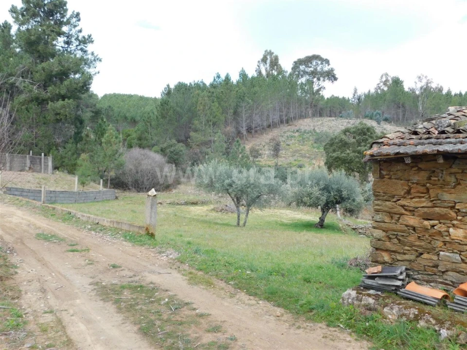 Quinta T0 para Venda em Barco e Coutada Foto 5