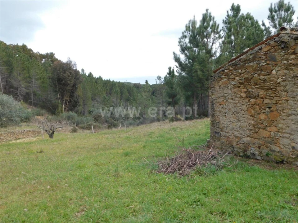 Quinta T0 para Venda em Barco e Coutada Foto 6