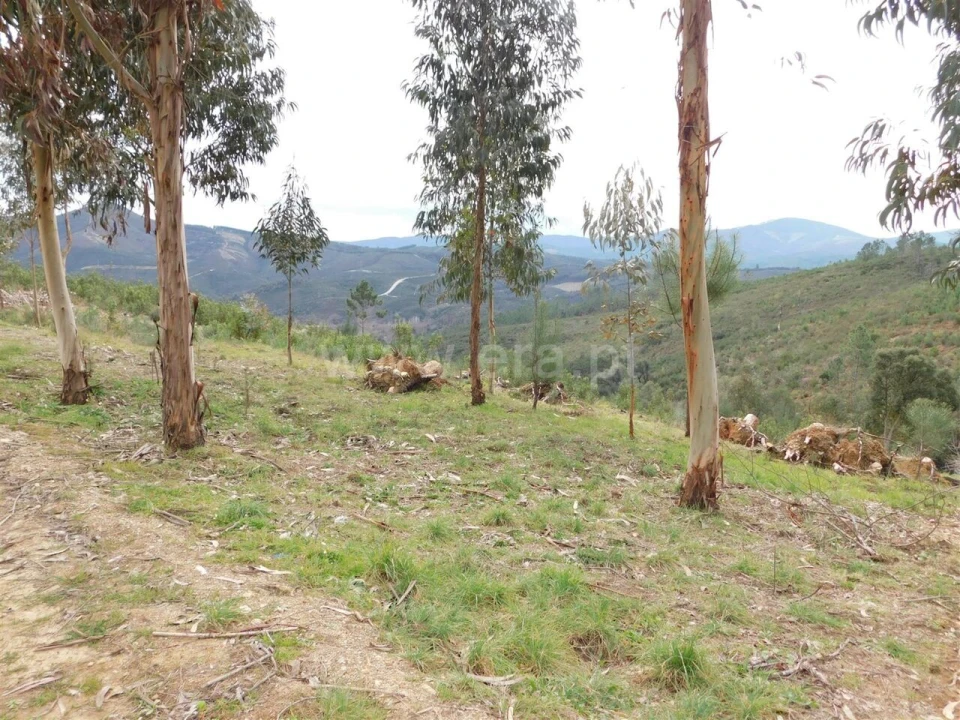 Quinta T0 para Venda em Barco e Coutada Foto 8