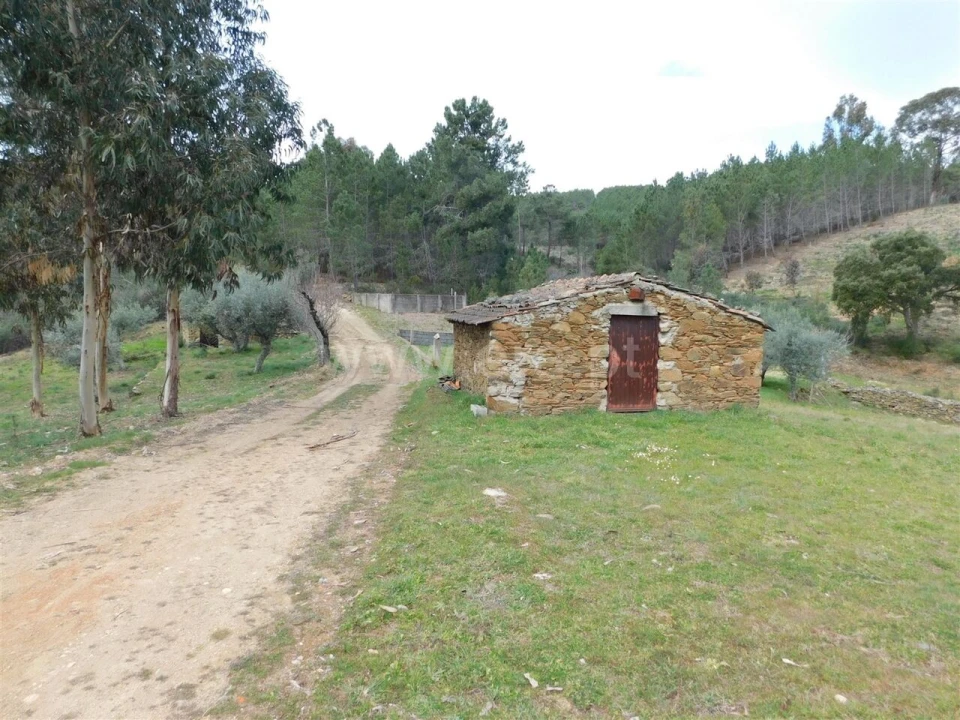 Quinta T0 para Venda em Barco e Coutada Foto 2