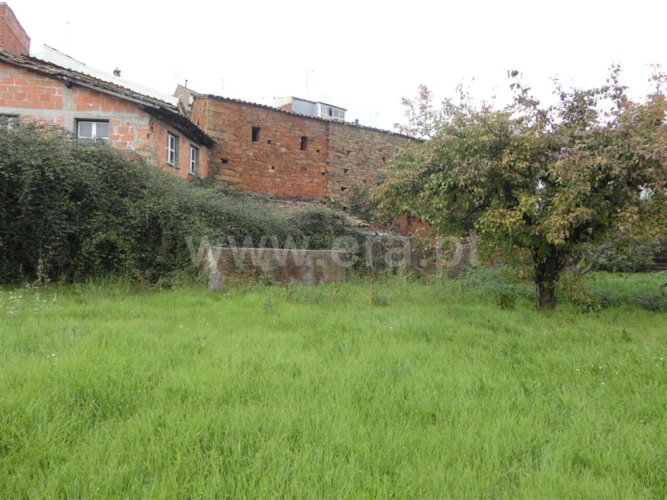 Terreno para Venda em Casegas e Ourondo Foto 2