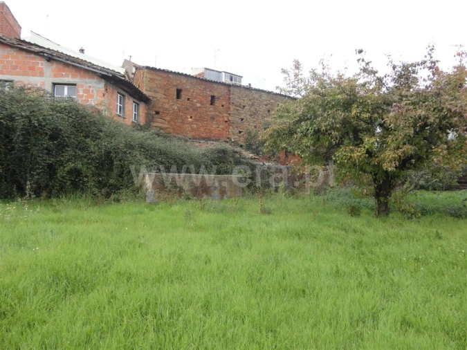 Terreno para Venda em Casegas e Ourondo Foto 2