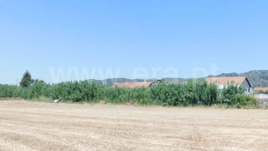 Terreno para Venda em Belmonte e Colmeal da Torre