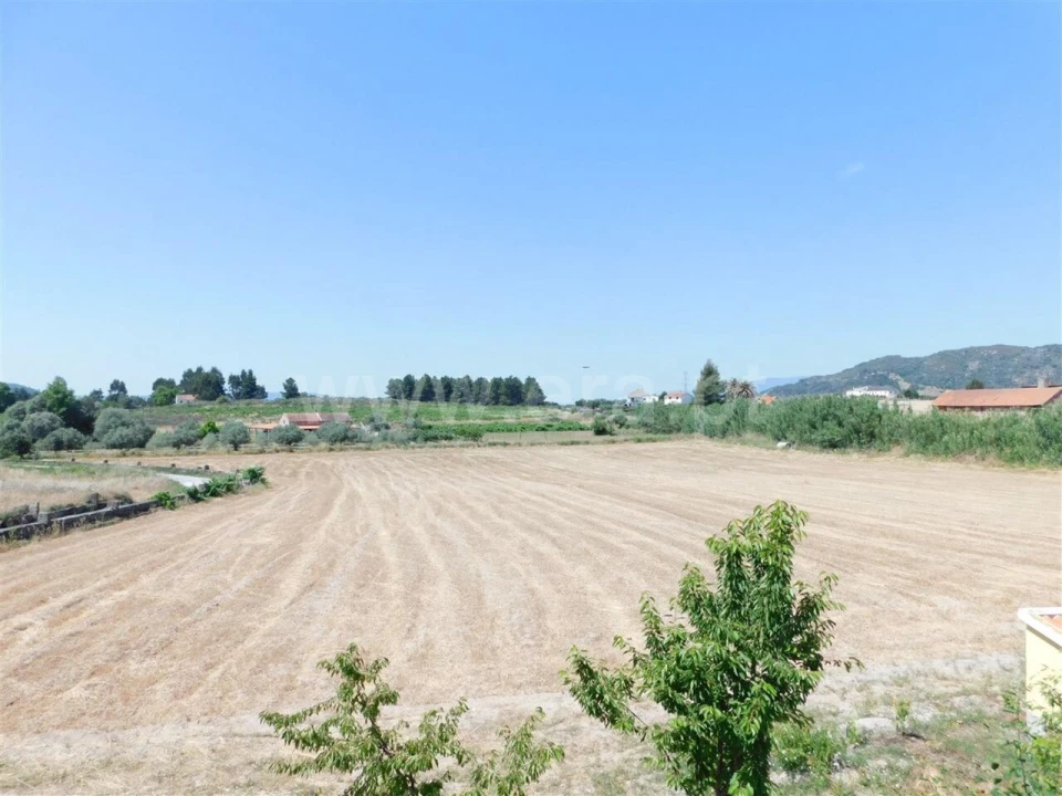 Terreno para Venda em Belmonte e Colmeal da Torre Foto 2