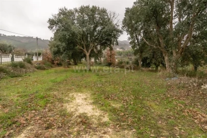 Terreno para Venda em Fundão, Valverde, Donas, A. Joanes, A. Nova Cabo