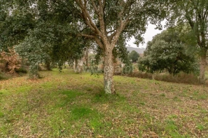 Terreno para Venda em Fundão, Valverde, Donas, A. Joanes, A. Nova Cabo
