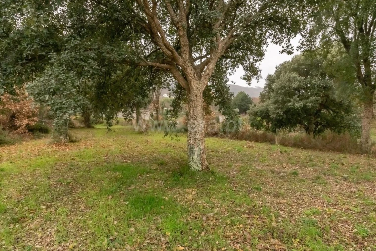 Terreno para Venda em Fundão, Valverde, Donas, A. Joanes, A. Nova Cabo Foto 4