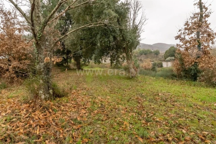 Terreno para Venda em Fundão, Valverde, Donas, A. Joanes, A. Nova Cabo Foto 5