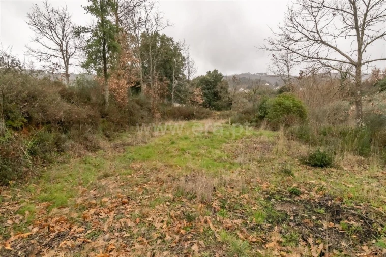 Terreno para Venda em Fundão, Valverde, Donas, A. Joanes, A. Nova Cabo Foto 6