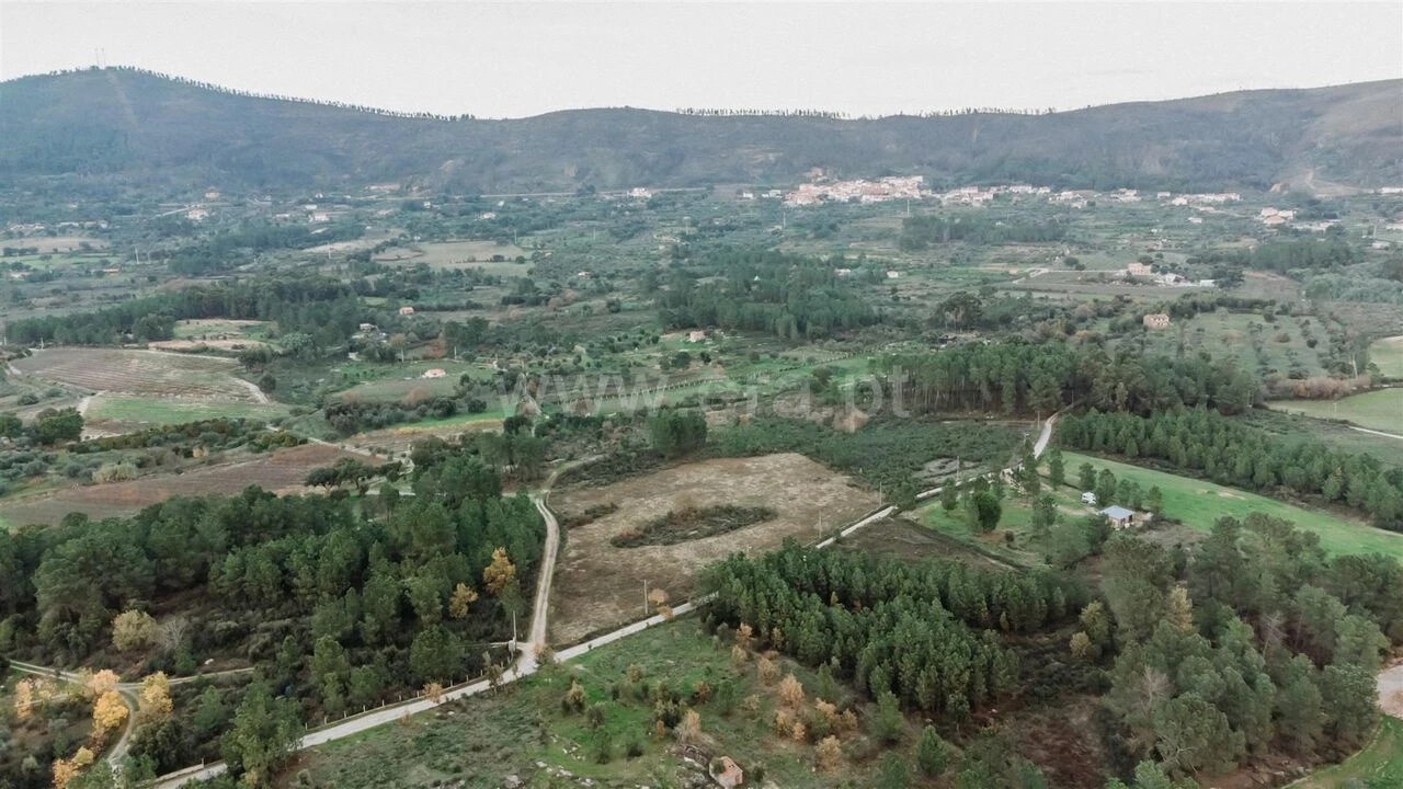 Terreno para Venda em Vale de Prazeres e Mata da Rainha Foto 3