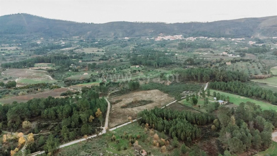 Terreno para Venda em Vale de Prazeres e Mata da Rainha Foto 3