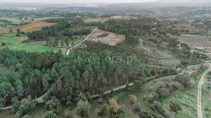 Terreno para Venda em Vale de Prazeres e Mata da Rainha Foto 5