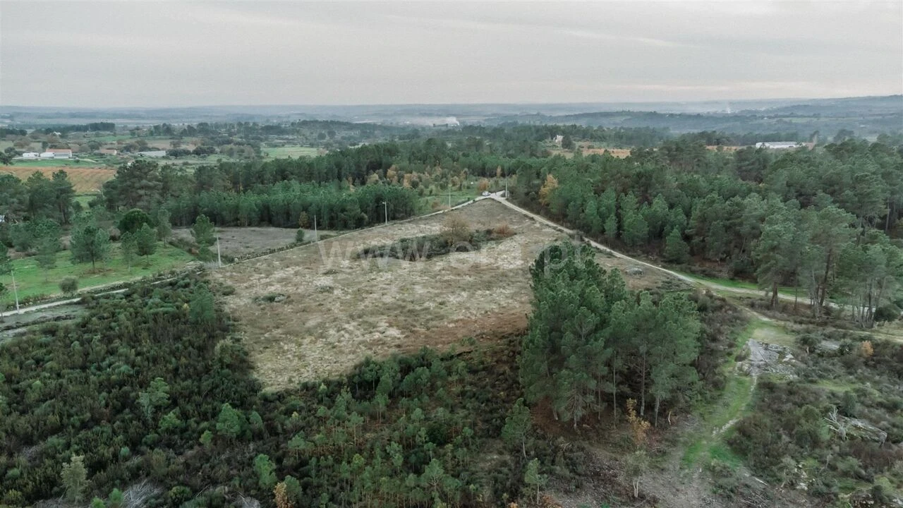 Terreno para Venda em Vale de Prazeres e Mata da Rainha Foto 6