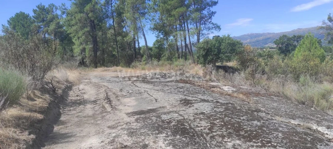 Terreno para Venda em Vale de Prazeres e Mata da Rainha Foto 5
