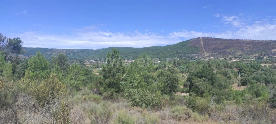 Terreno para Venda em Vale de Prazeres e Mata da Rainha Foto 7