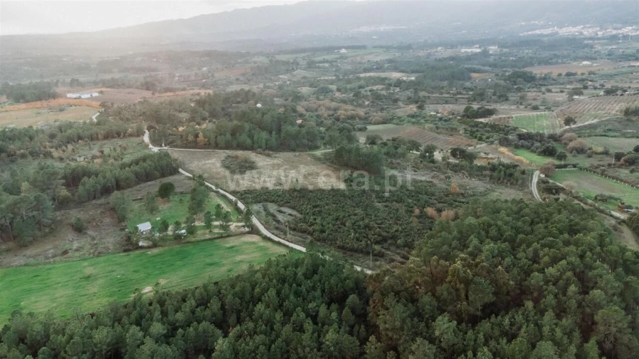 Terreno para Venda em Vale de Prazeres e Mata da Rainha Foto 3