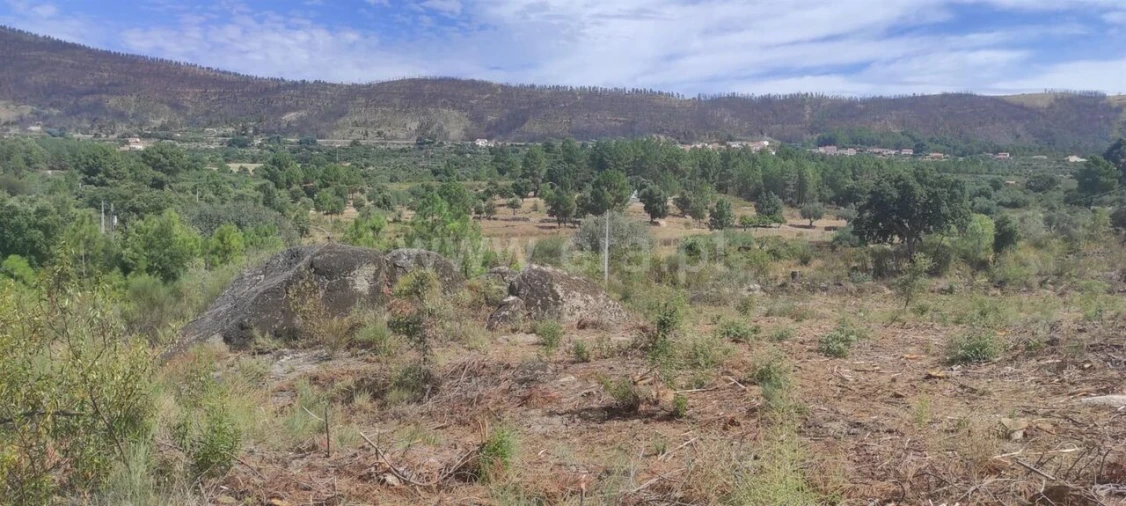 Terreno para Venda em Vale de Prazeres e Mata da Rainha Foto 4