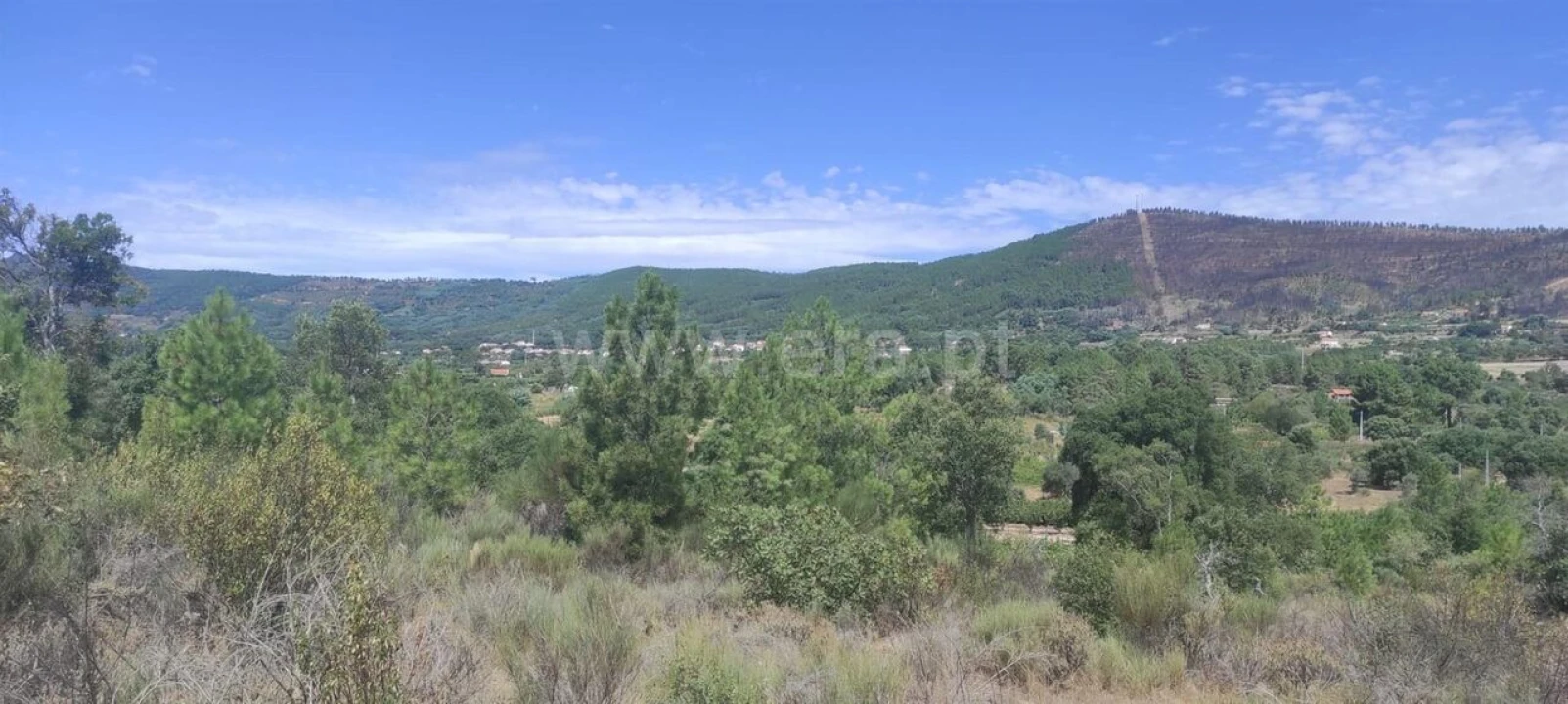 Terreno para Venda em Vale de Prazeres e Mata da Rainha Foto 7