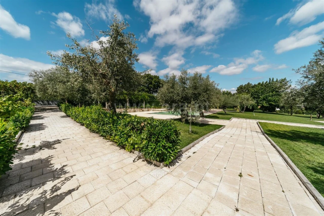 Quinta T1 para Venda em Fundão, Valverde, Donas, A. Joanes, A. Nova Cabo Foto 10