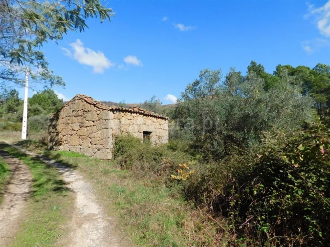 Quinta T0 para Venda em Vale de Prazeres e Mata da Rainha Foto 8