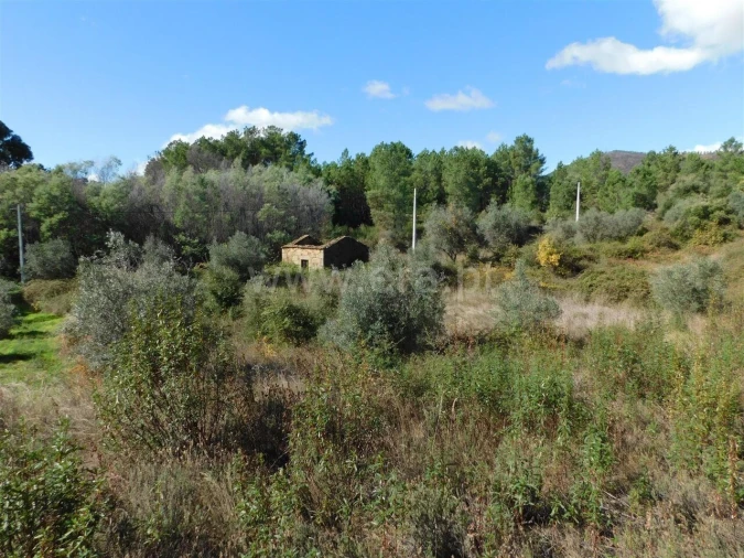 Quinta T0 para Venda em Vale de Prazeres e Mata da Rainha Foto 6