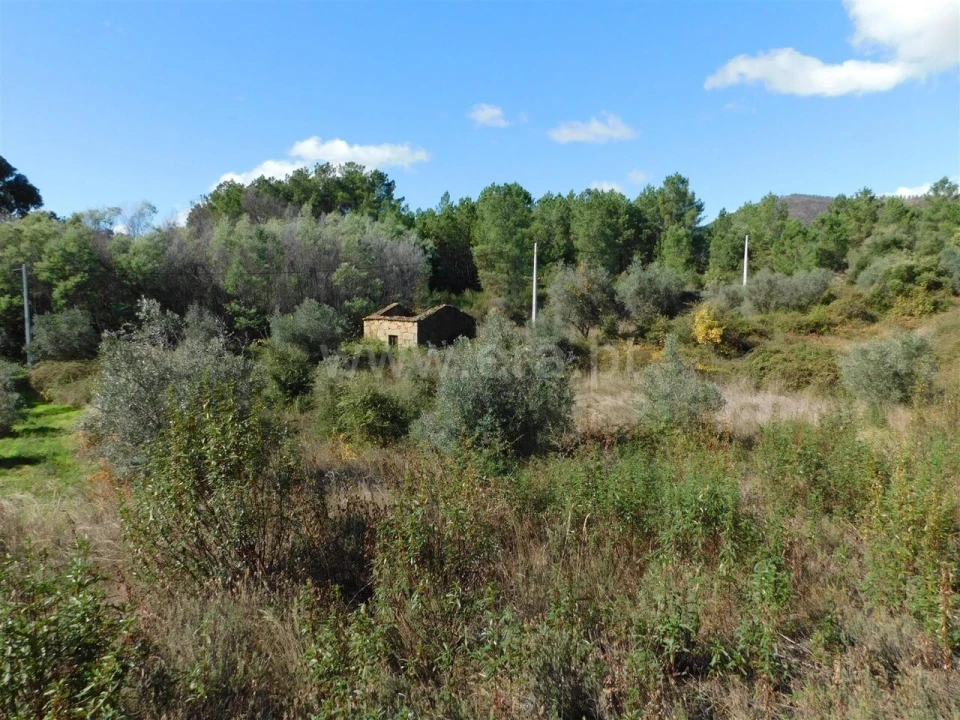 Quinta T0 para Venda em Vale de Prazeres e Mata da Rainha Foto 6