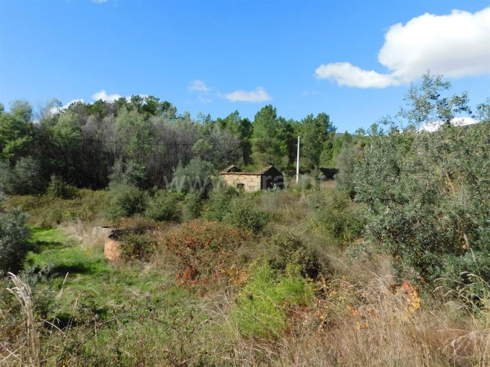 Quinta T0 para Venda em Vale de Prazeres e Mata da Rainha Foto 5