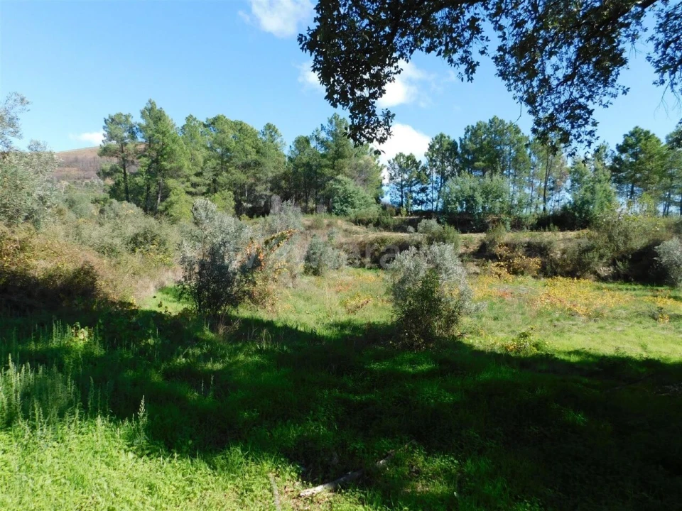 Quinta T0 para Venda em Vale de Prazeres e Mata da Rainha Foto 1