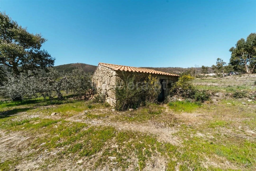 Quinta T1 para Venda em Vale de Prazeres e Mata da Rainha Foto 3