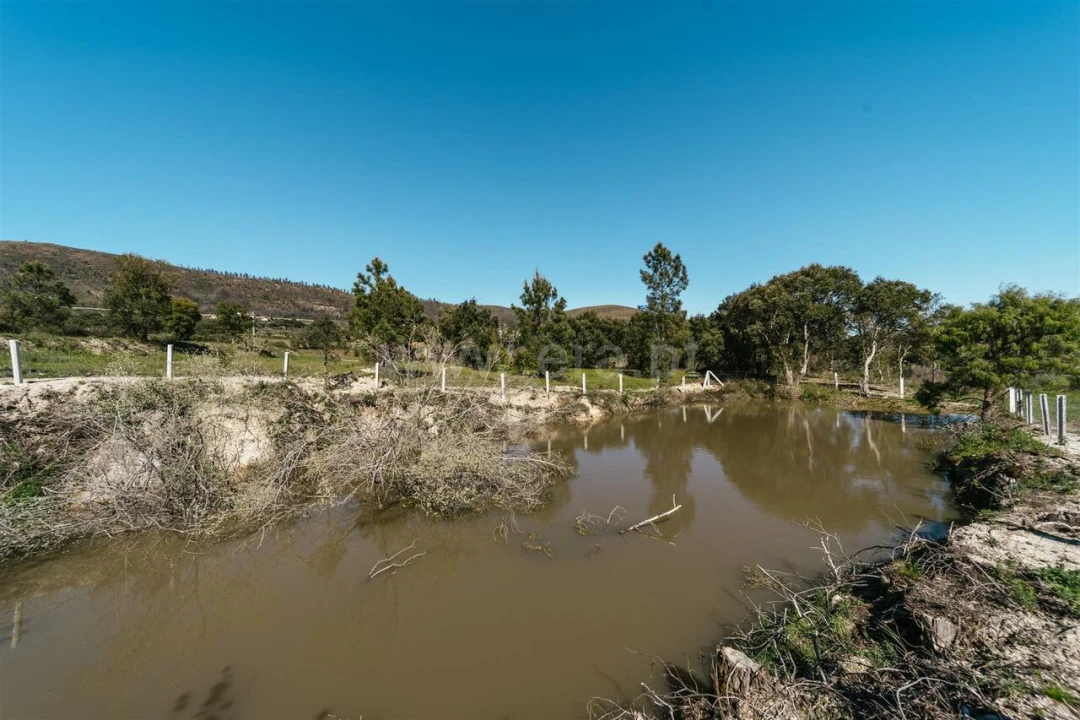Quinta T1 para Venda em Vale de Prazeres e Mata da Rainha Foto 14