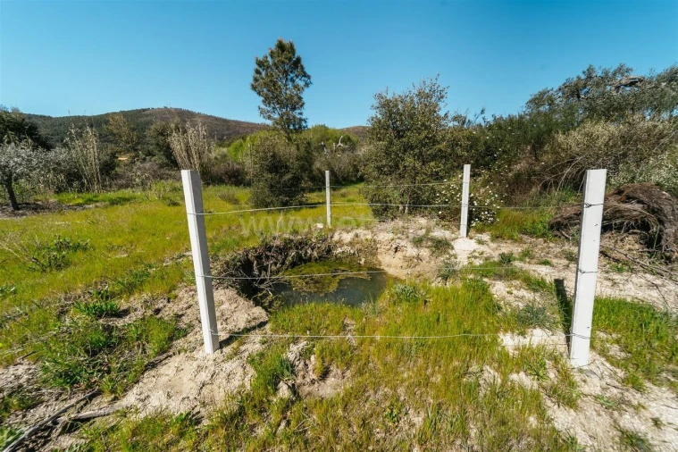 Quinta T1 para Venda em Vale de Prazeres e Mata da Rainha Foto 8