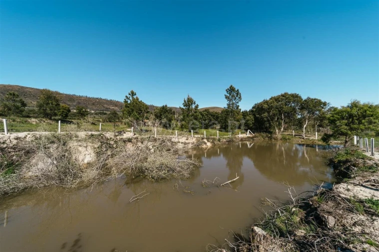 Quinta T1 para Venda em Vale de Prazeres e Mata da Rainha Foto 14
