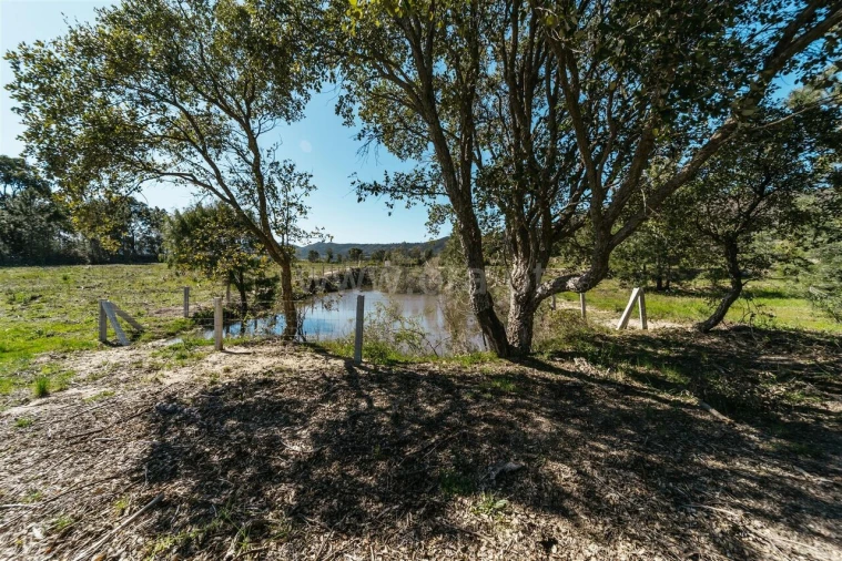 Quinta T1 para Venda em Vale de Prazeres e Mata da Rainha Foto 17