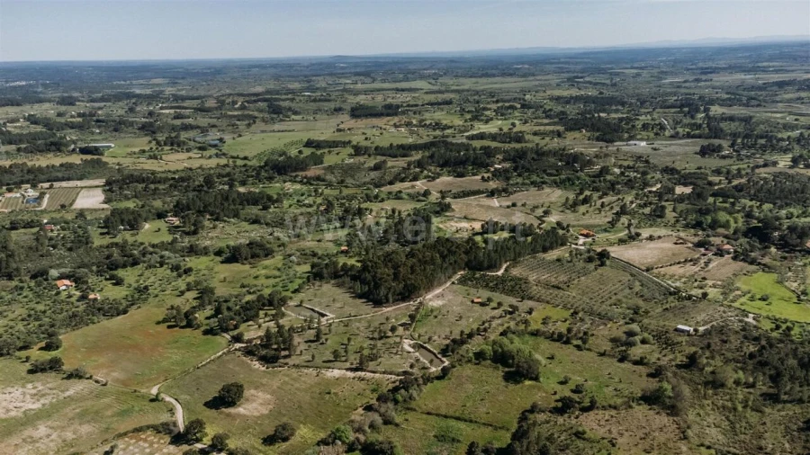 Quinta T1 para Venda em Vale de Prazeres e Mata da Rainha Foto 19