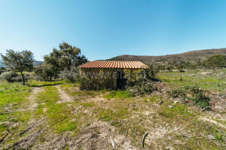 Quinta T1 para Venda em Vale de Prazeres e Mata da Rainha Foto 2
