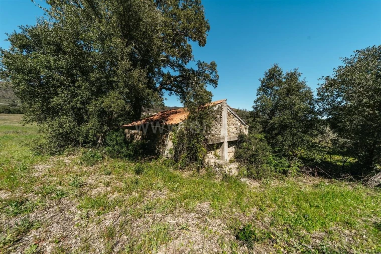 Quinta T1 para Venda em Vale de Prazeres e Mata da Rainha Foto 16
