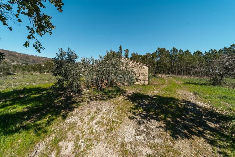 Quinta T1 para Venda em Vale de Prazeres e Mata da Rainha Foto 5