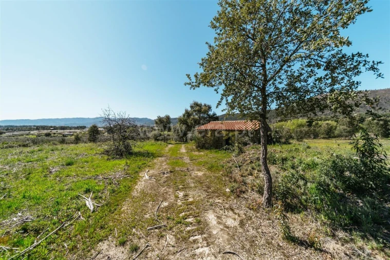 Quinta T1 para Venda em Vale de Prazeres e Mata da Rainha Foto 4