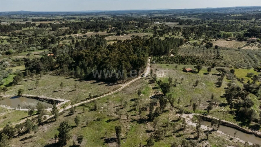 Quinta T1 para Venda em Vale de Prazeres e Mata da Rainha Foto 18