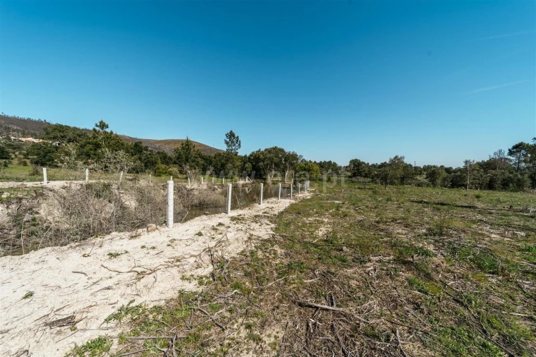 Quinta T1 para Venda em Vale de Prazeres e Mata da Rainha Foto 13